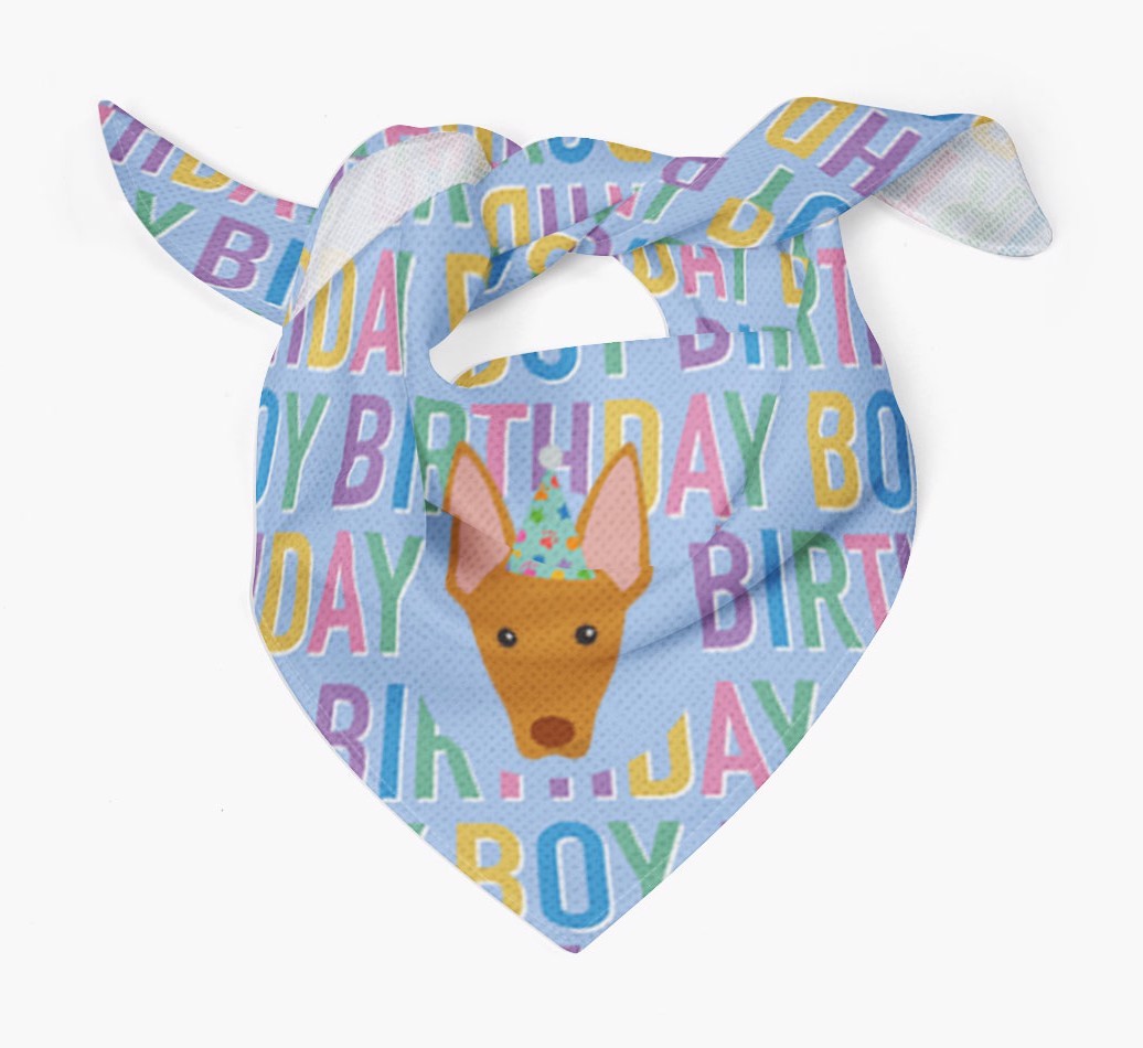 Birthday Boy: Personalised {breedFullName} Bandana