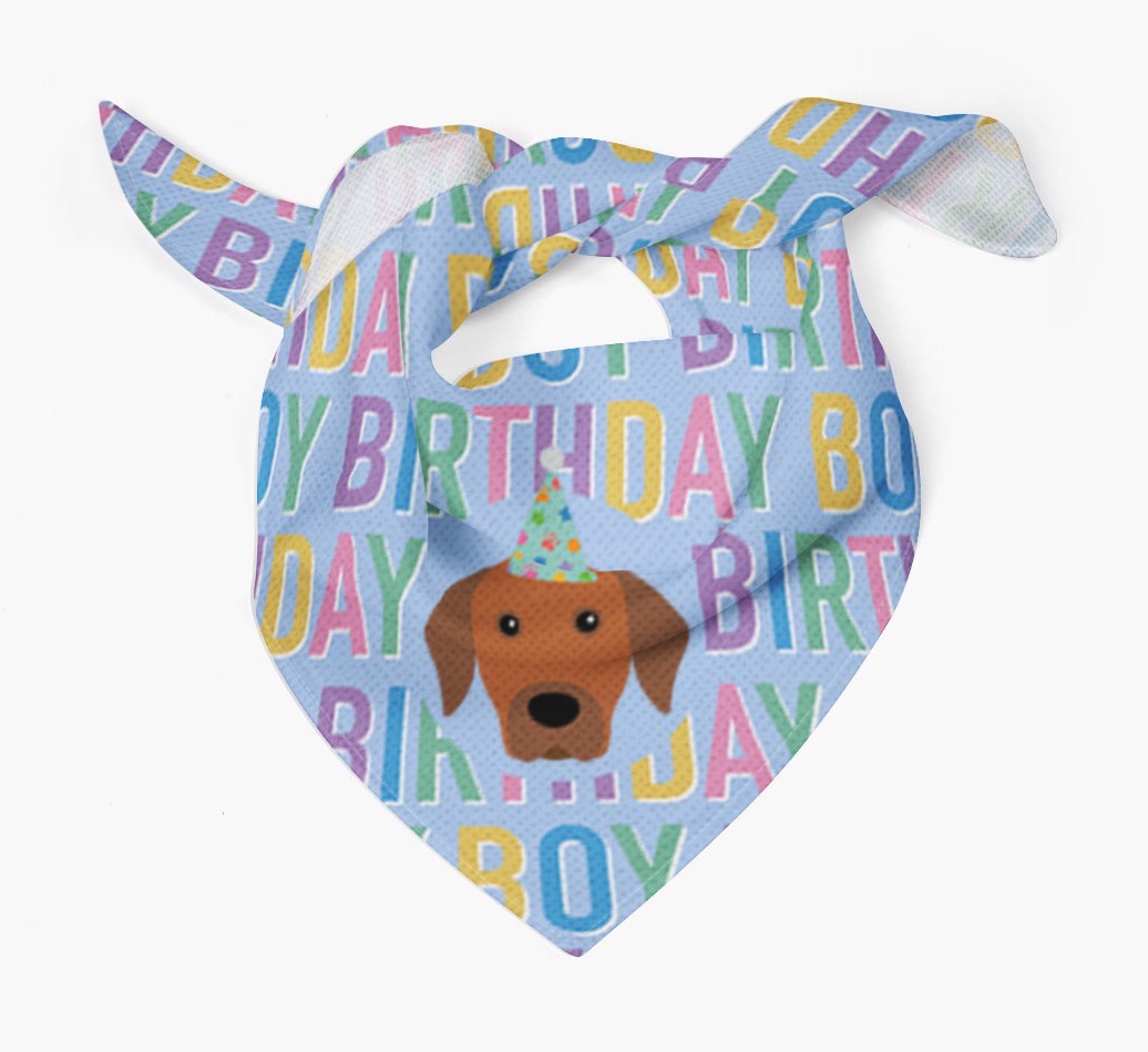 Birthday Boy: Personalised {breedFullName} Bandana