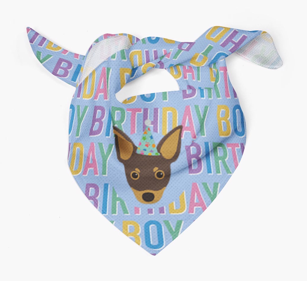 Birthday Boy: Personalised {breedFullName} Bandana