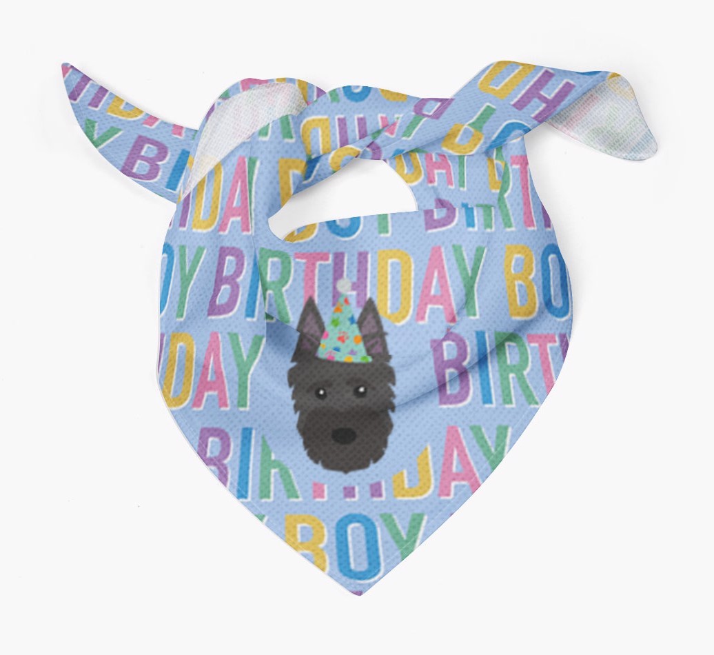 Birthday Boy: Personalised {breedFullName} Bandana