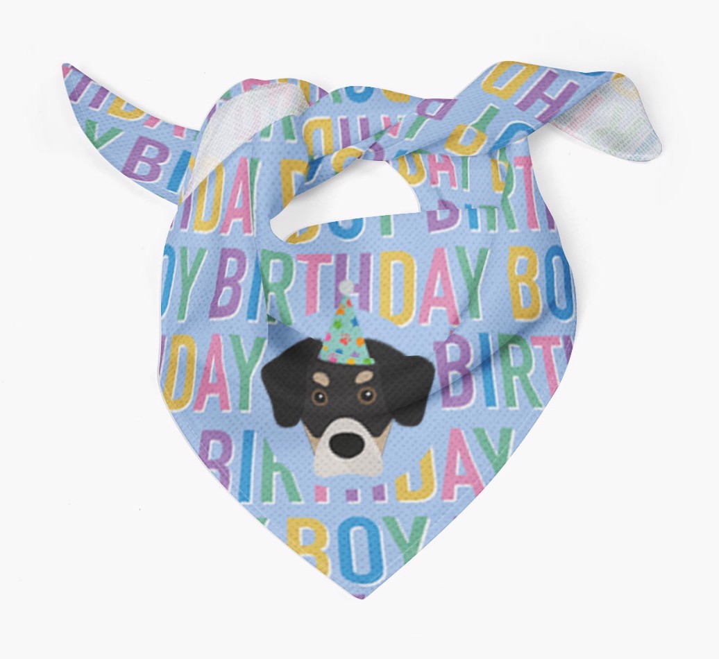 Birthday Boy: Personalised {breedFullName} Bandana