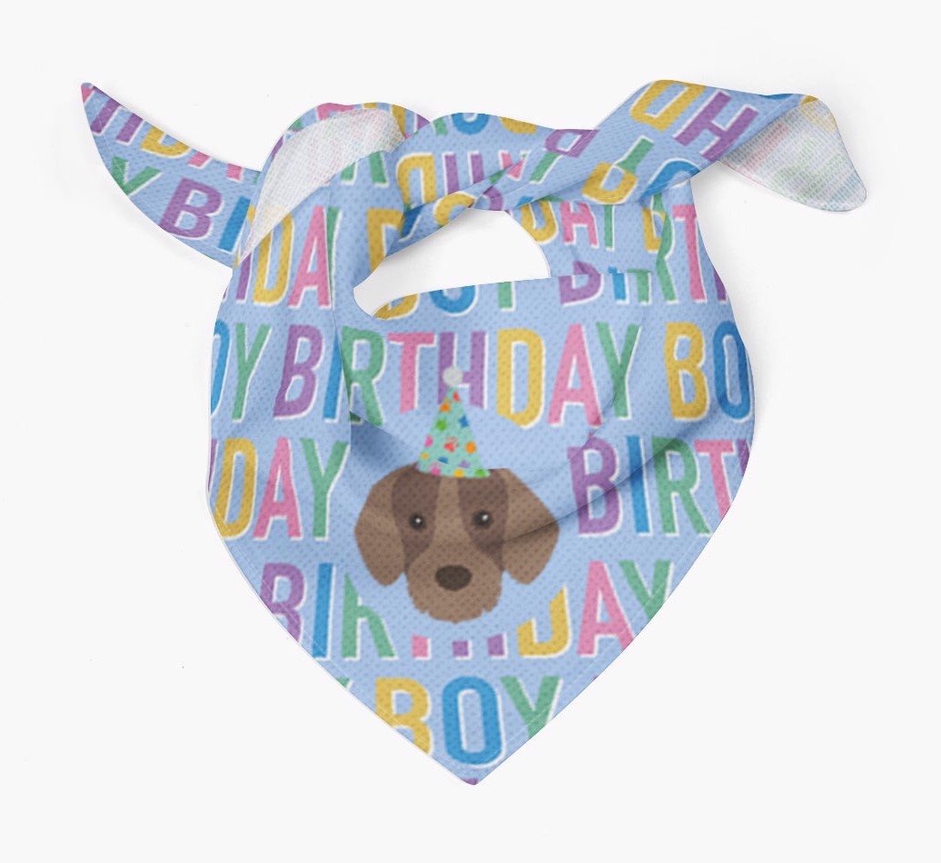 Birthday Boy: Personalised {breedFullName} Bandana