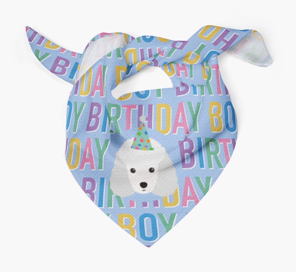 Birthday Boy: Personalised {breedFullName} Bandana