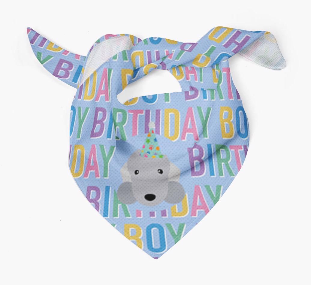 Birthday Boy: Personalized {breedFullName} Bandana