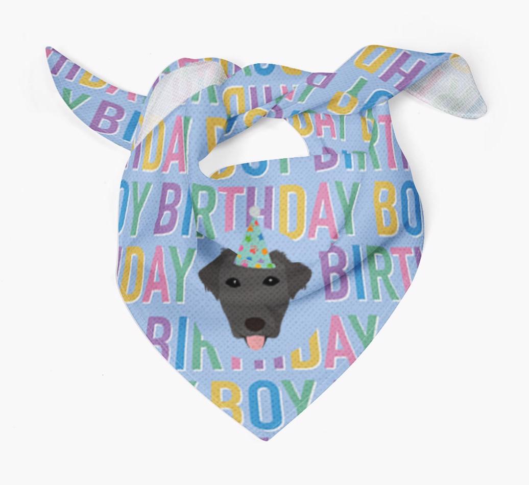 Birthday Boy: Personalized {breedFullName} Bandana