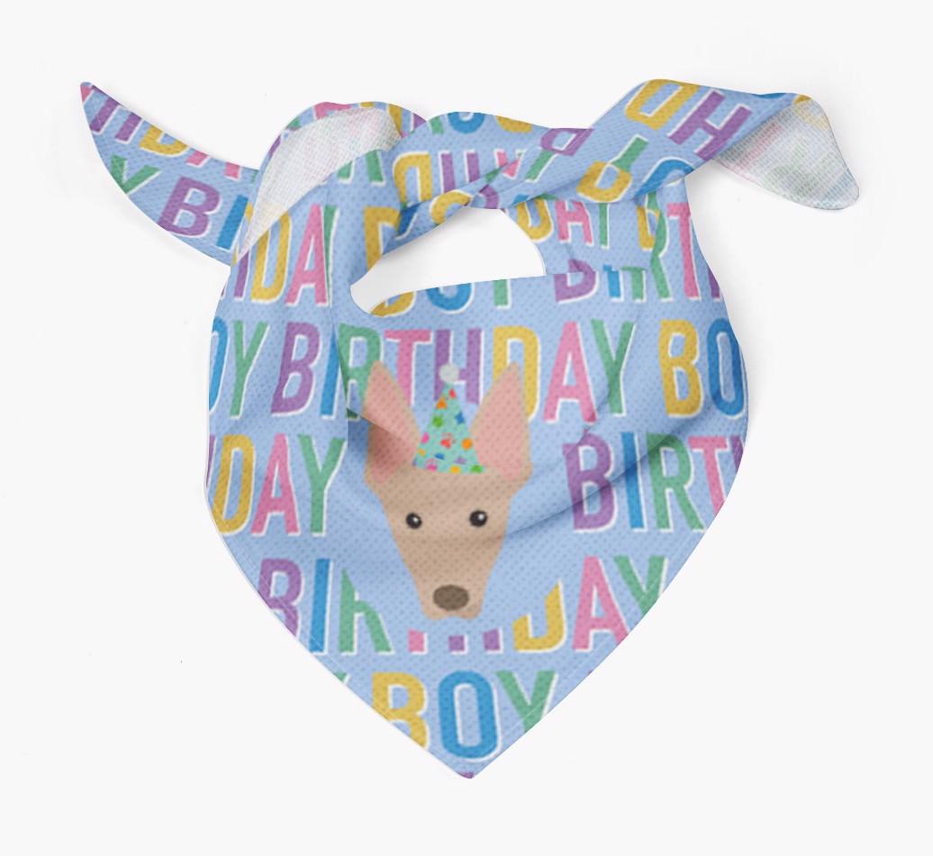 Birthday Boy: Personalized {breedFullName} Bandana