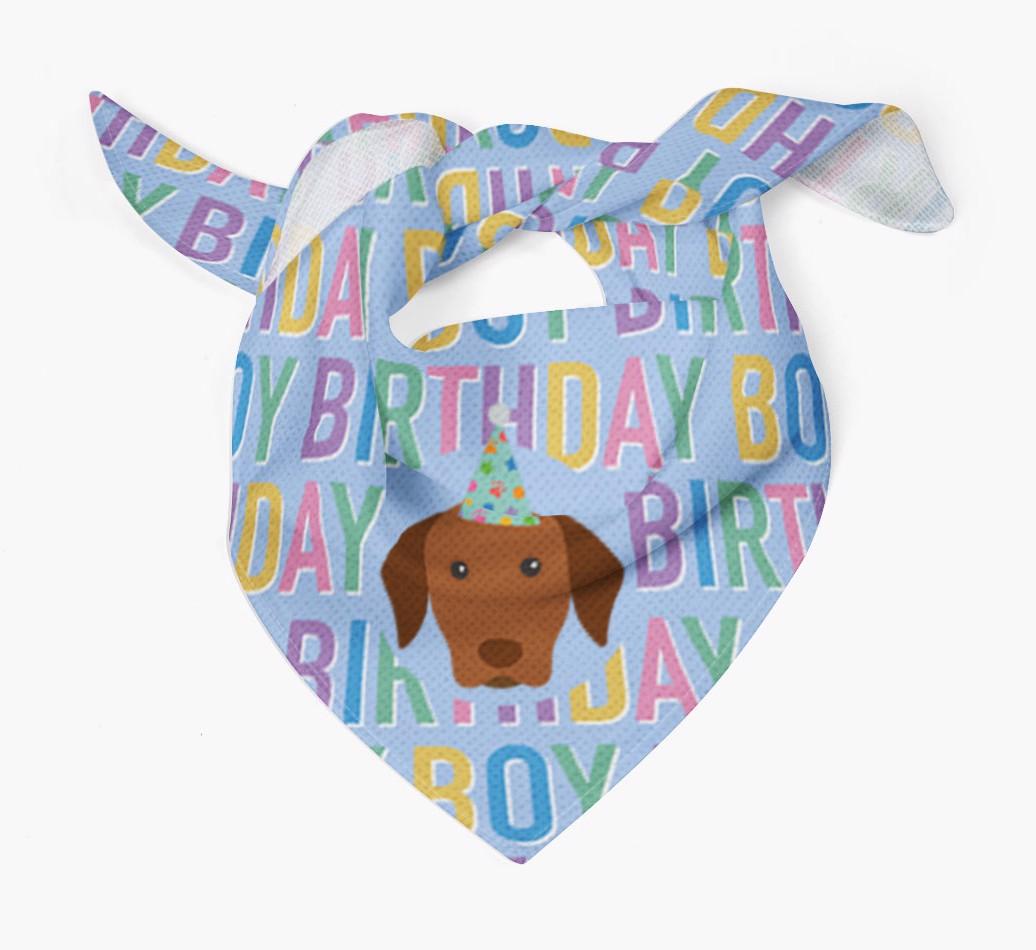 Birthday Boy: Personalised {breedFullName} Bandana