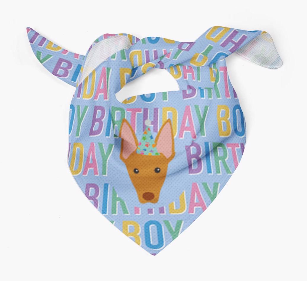 Birthday Boy: Personalised {breedFullName} Bandana
