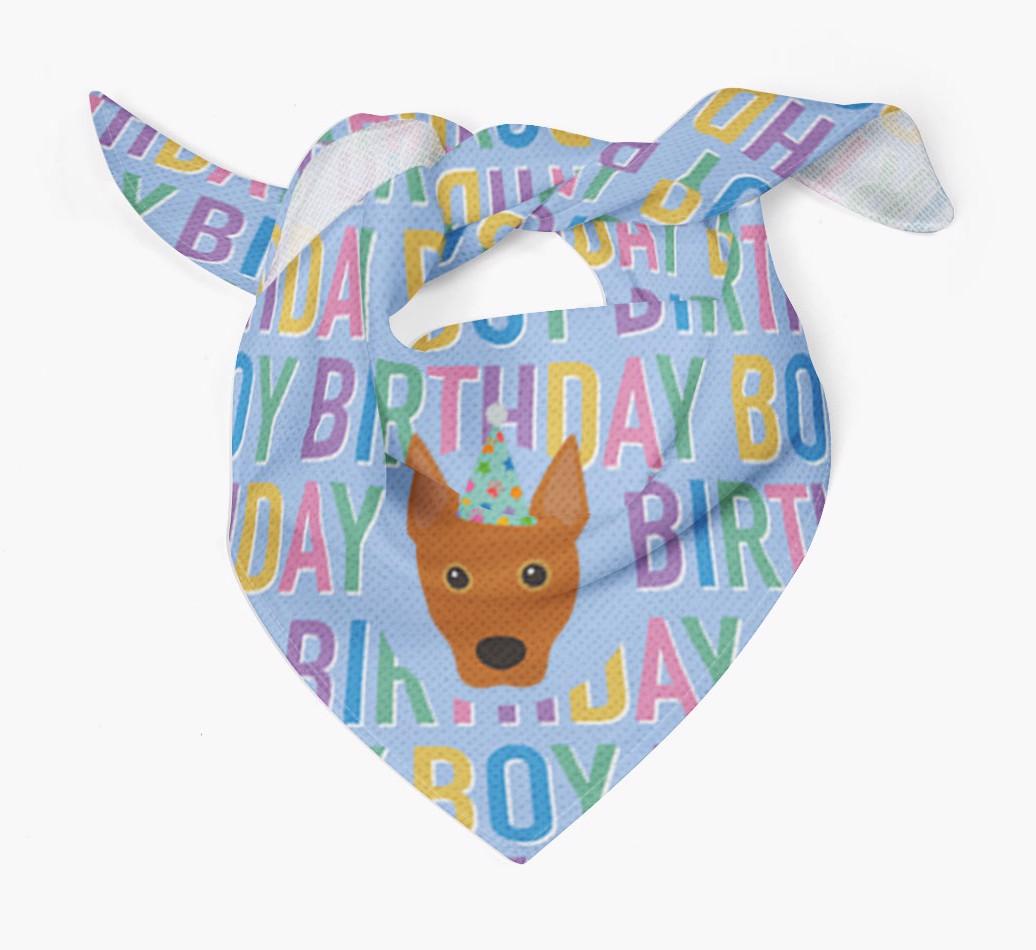Birthday Boy: Personalized {breedFullName} Bandana