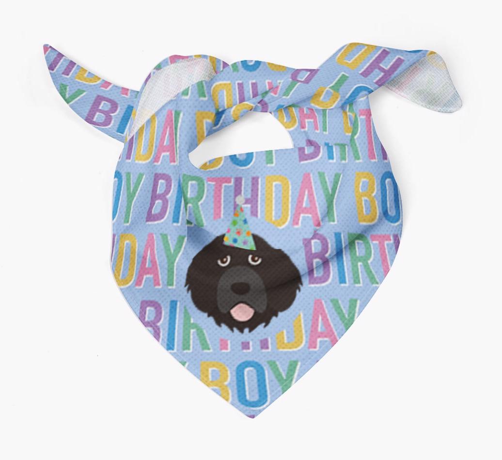 Birthday Boy: Personalized {breedFullName} Bandana