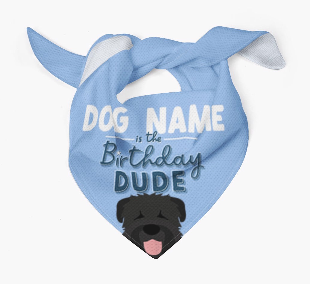 Birthday Dude: Personalised {breedFullName} Bandana