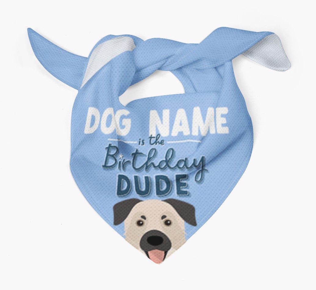 Birthday Dude: Personalised {breedFullName} Bandana