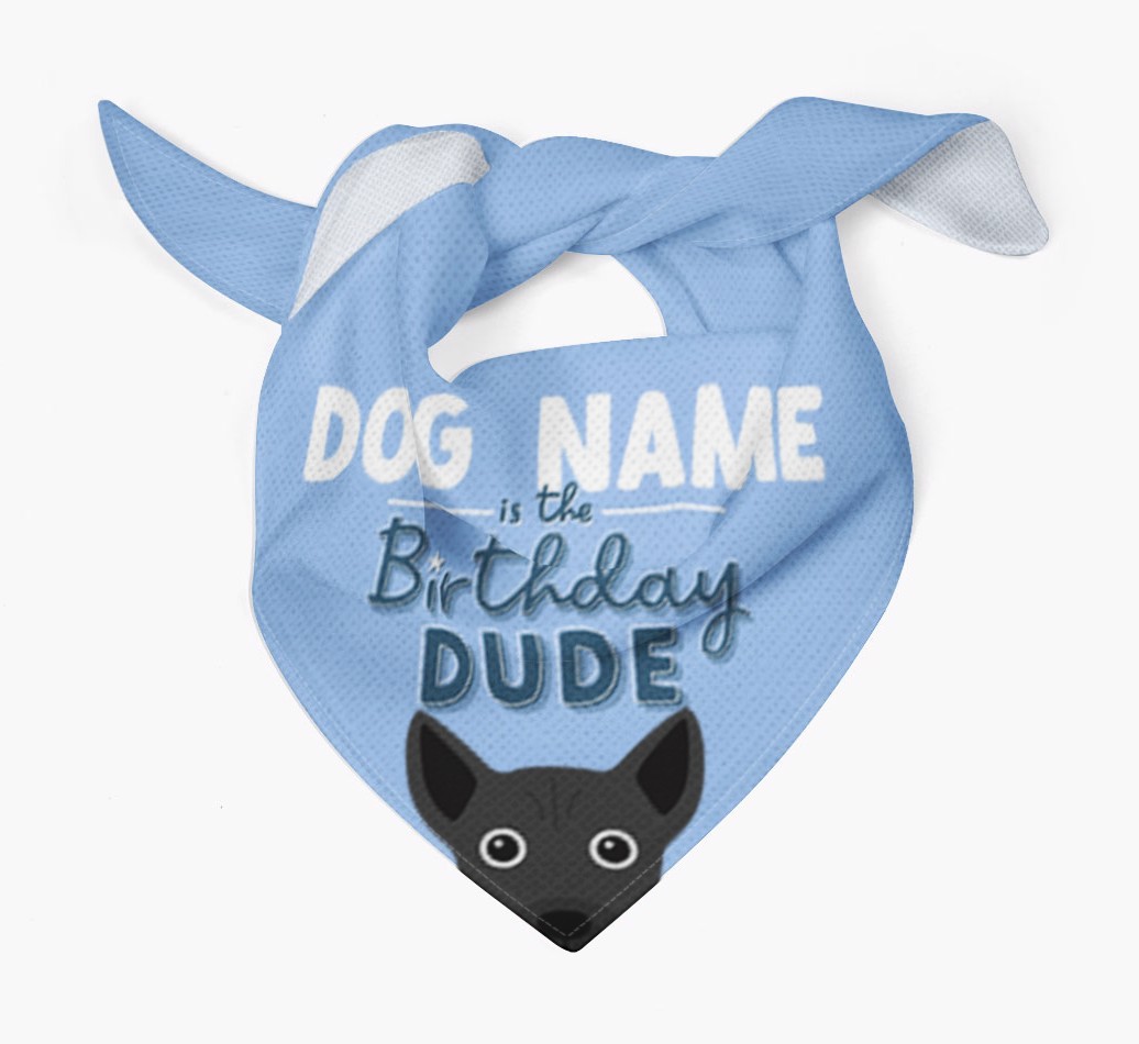Birthday Dude: Personalised {breedFullName} Bandana