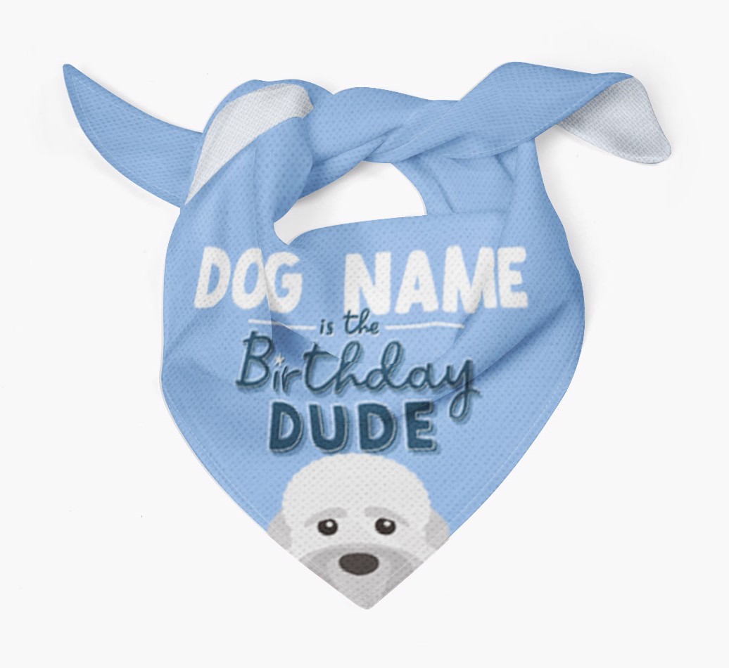 Birthday Dude: Personalised {breedFullName} Bandana