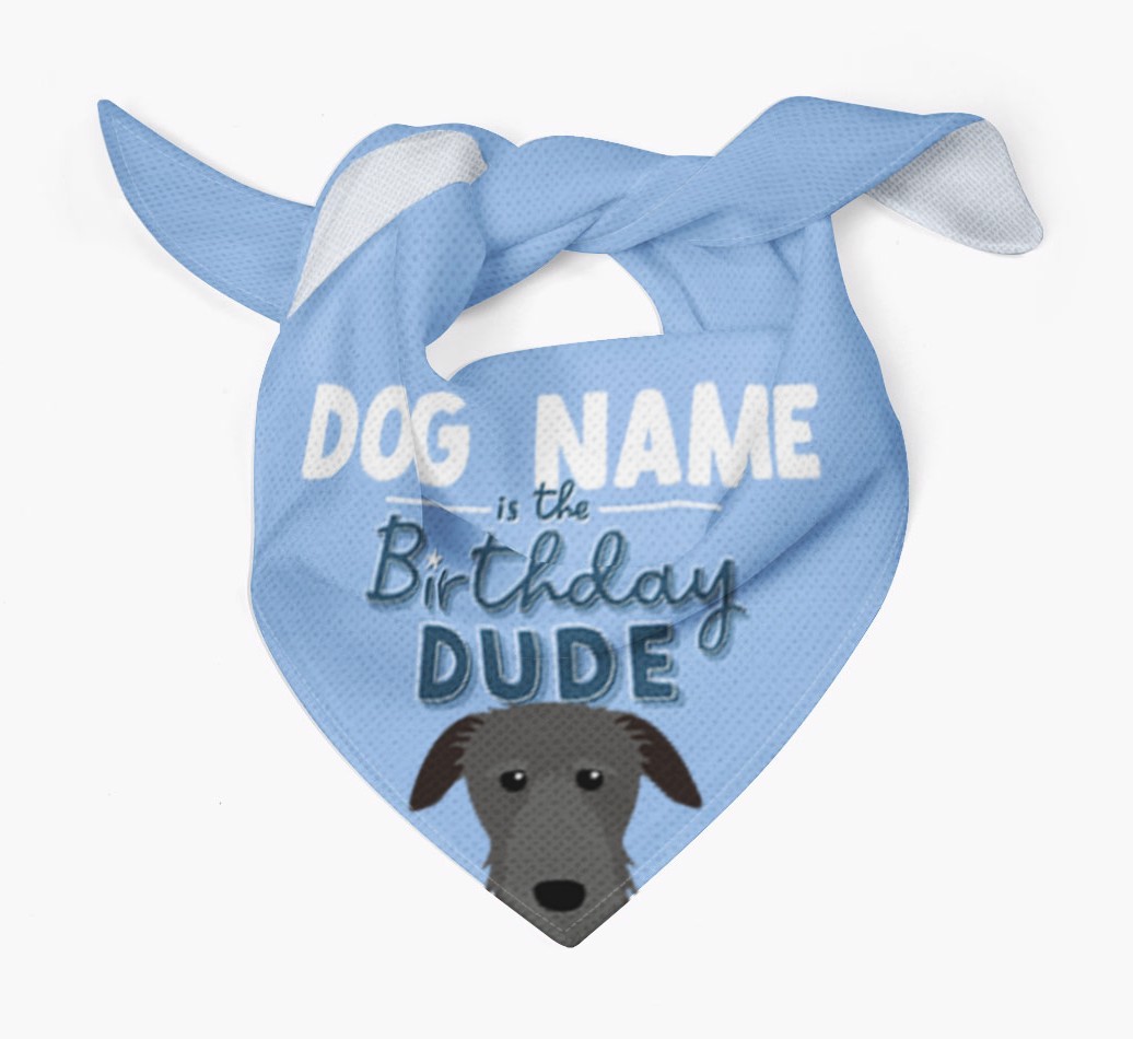 Birthday Dude: Personalised {breedFullName} Bandana