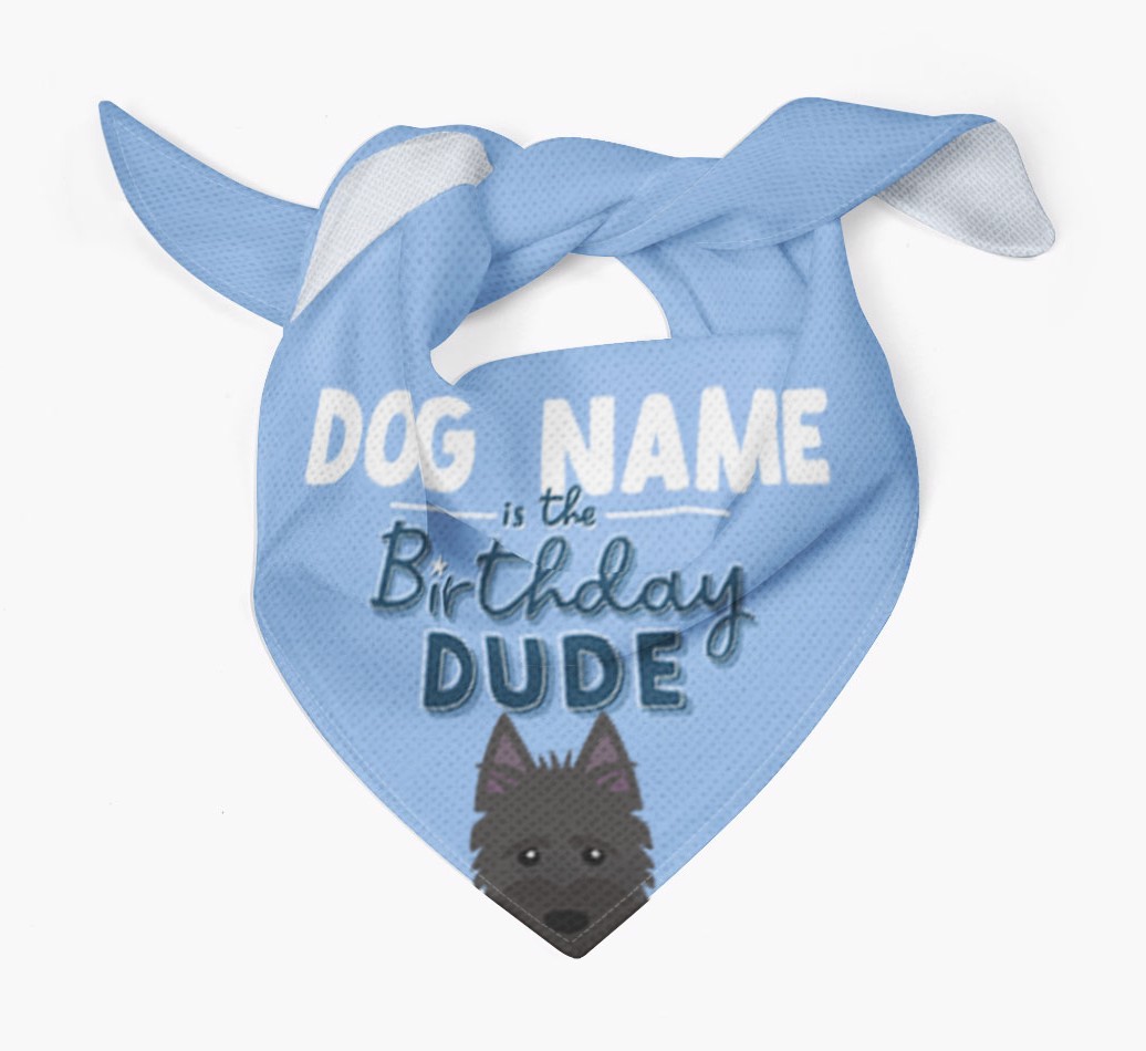 Birthday Dude: Personalised {breedFullName} Bandana