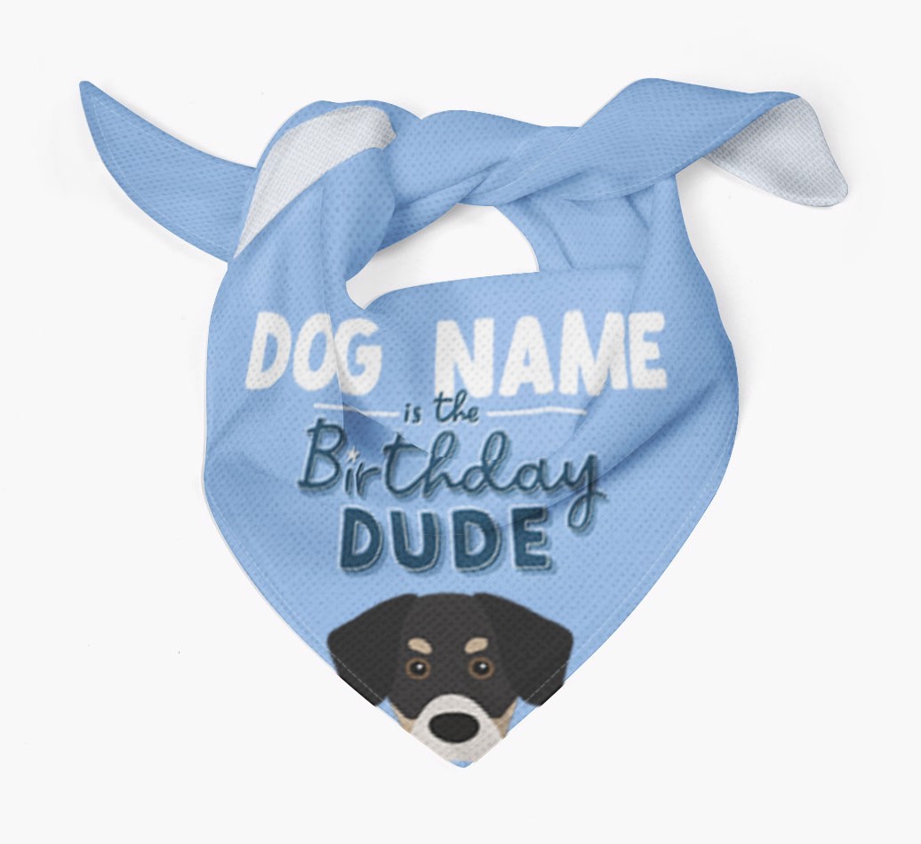 Birthday Dude: Personalised {breedFullName} Bandana