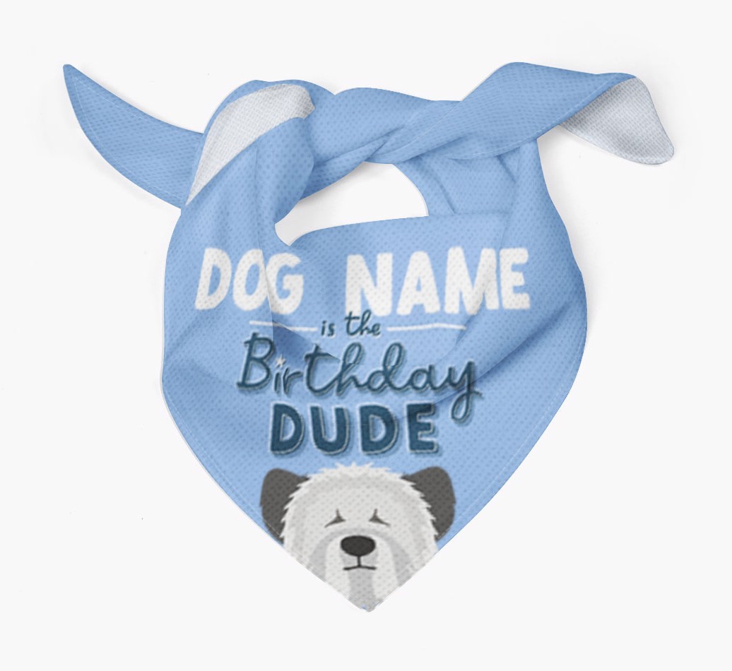 Birthday Dude: Personalised {breedFullName} Bandana