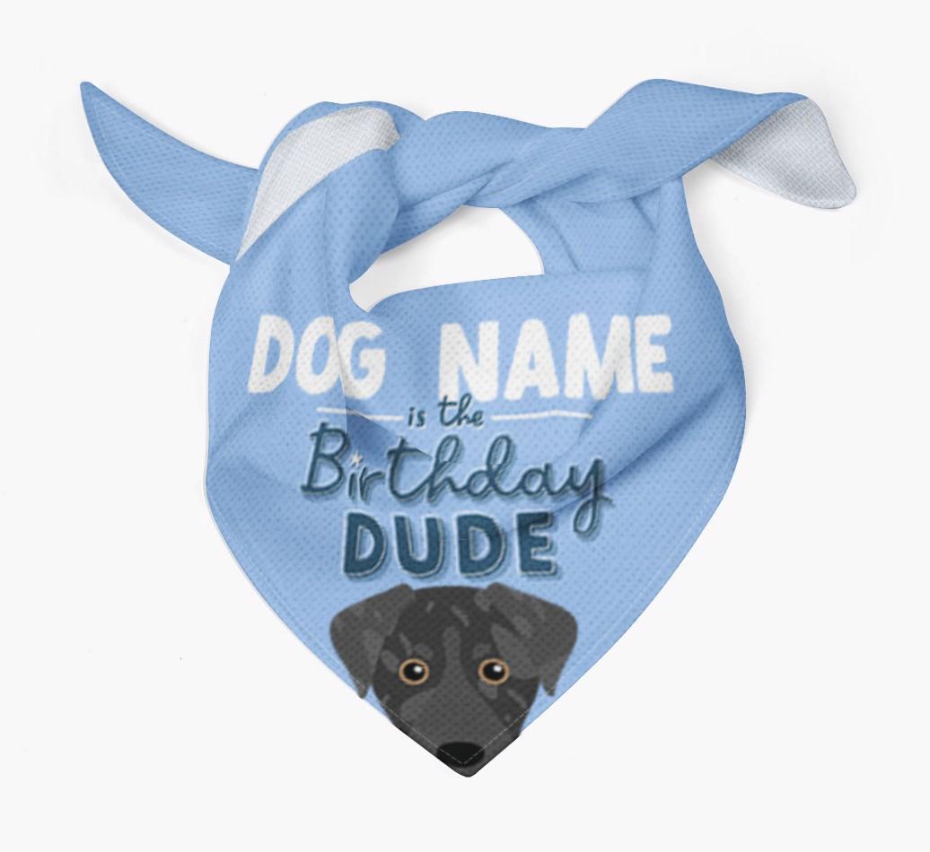 Birthday Dude: Personalized {breedFullName} Bandana