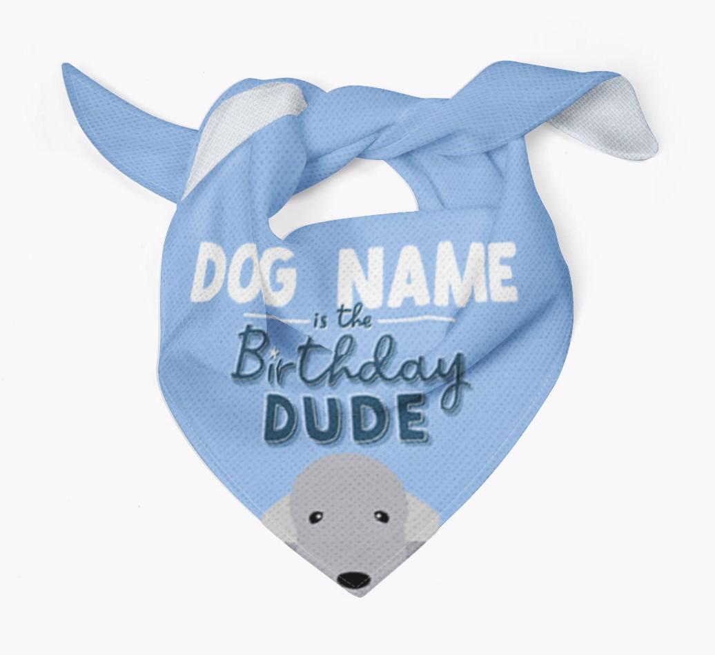 Birthday Dude: Personalized {breedFullName} Bandana