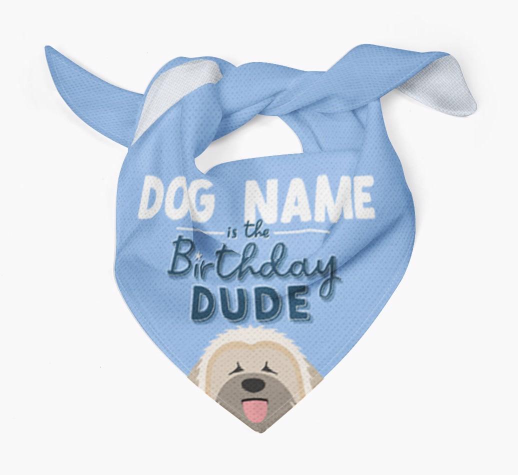 Birthday Dude: Personalized {breedFullName} Bandana
