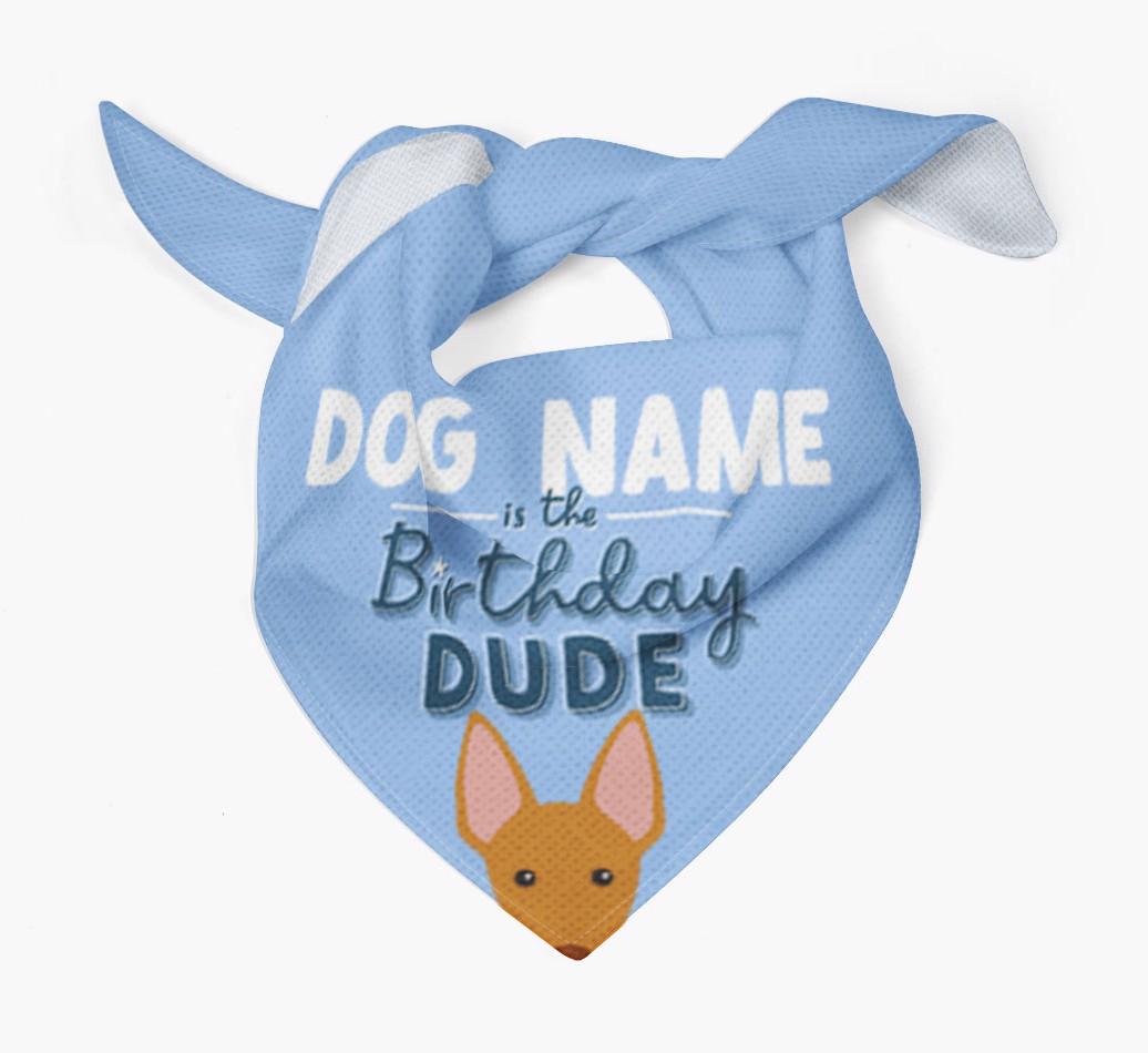 Birthday Dude: Personalised {breedFullName} Bandana