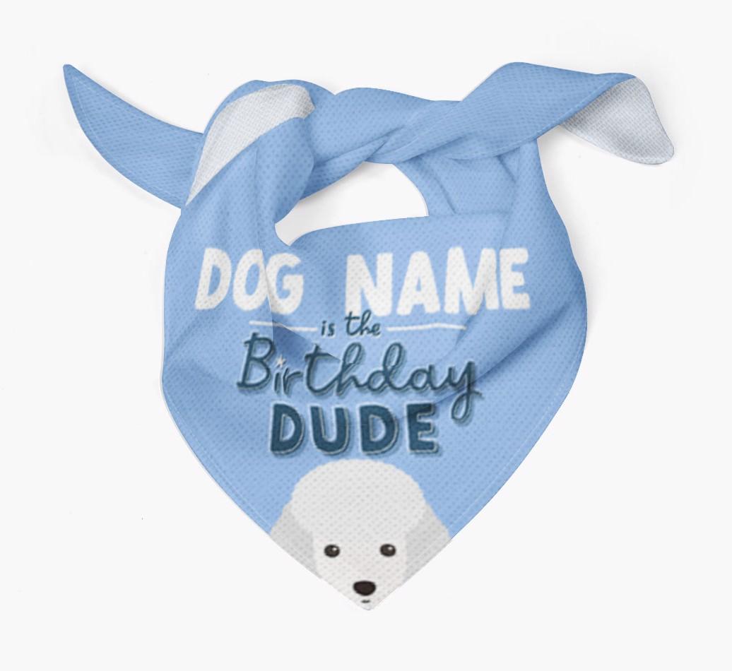 Birthday Dude: Personalized {breedFullName} Bandana