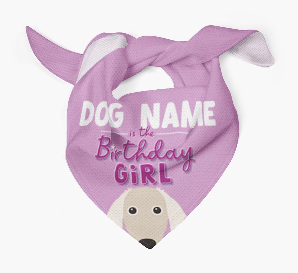 Birthday Girl: Personalised {breedFullName} Bandana