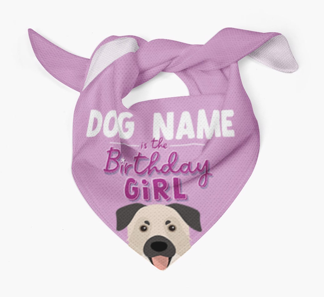 Birthday Girl: Personalised {breedFullName} Bandana