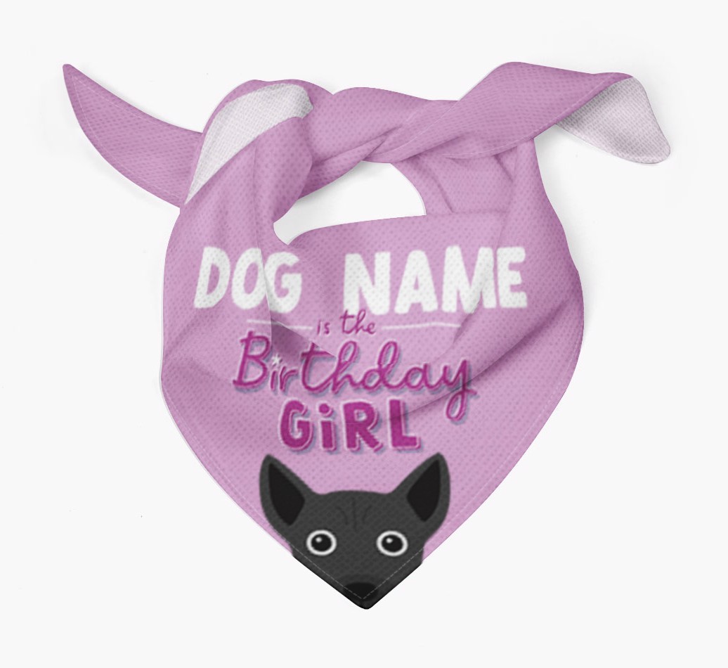Birthday Girl: Personalised {breedFullName} Bandana