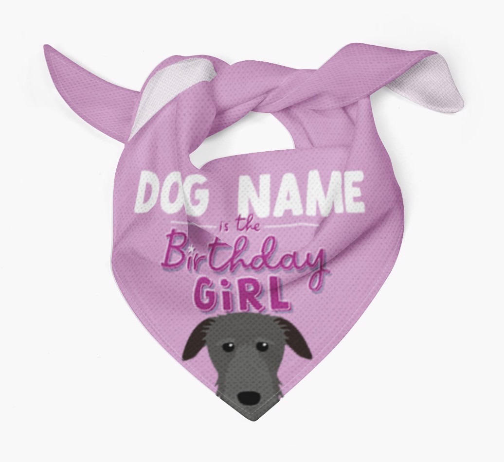 Birthday Girl: Personalised {breedFullName} Bandana