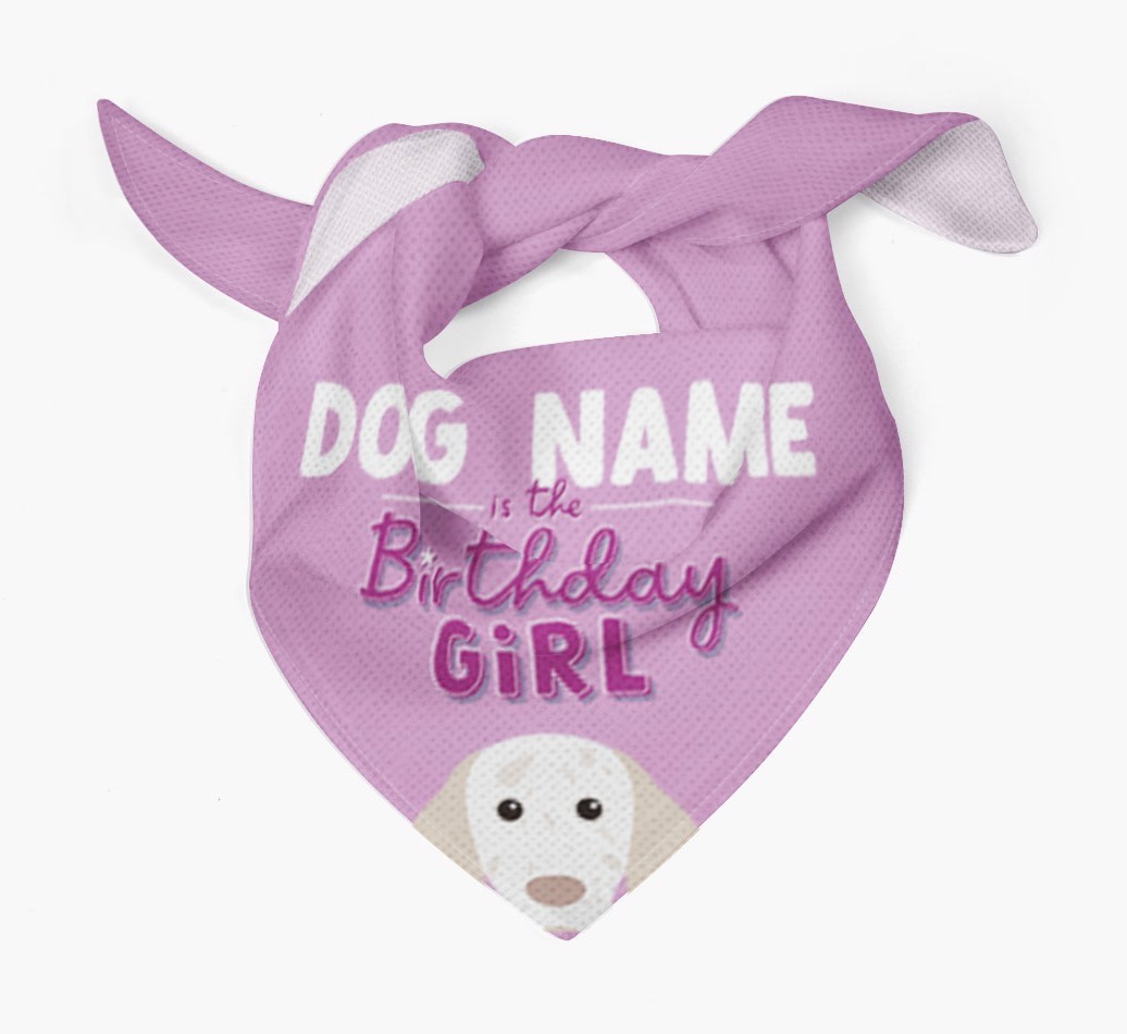 Birthday Girl: Personalised {breedFullName} Bandana