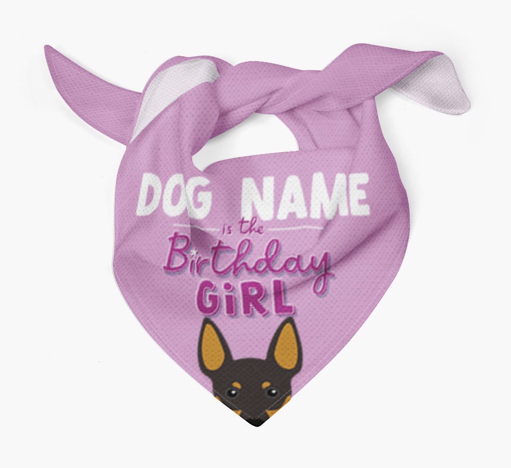 Birthday Girl: Personalised {breedFullName} Bandana
