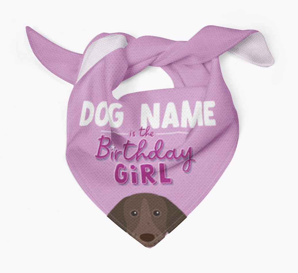Birthday Girl: Personalised {breedFullName} Bandana