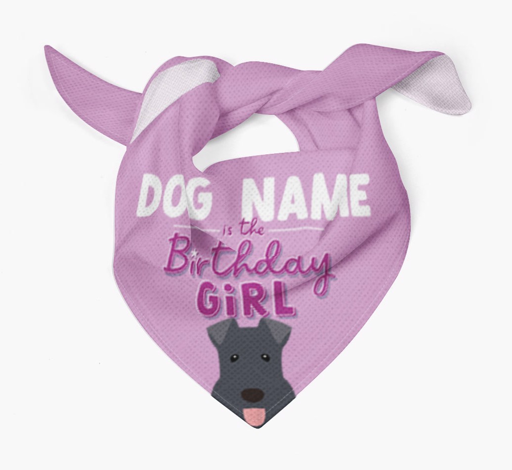 Birthday Girl: Personalised {breedFullName} Bandana