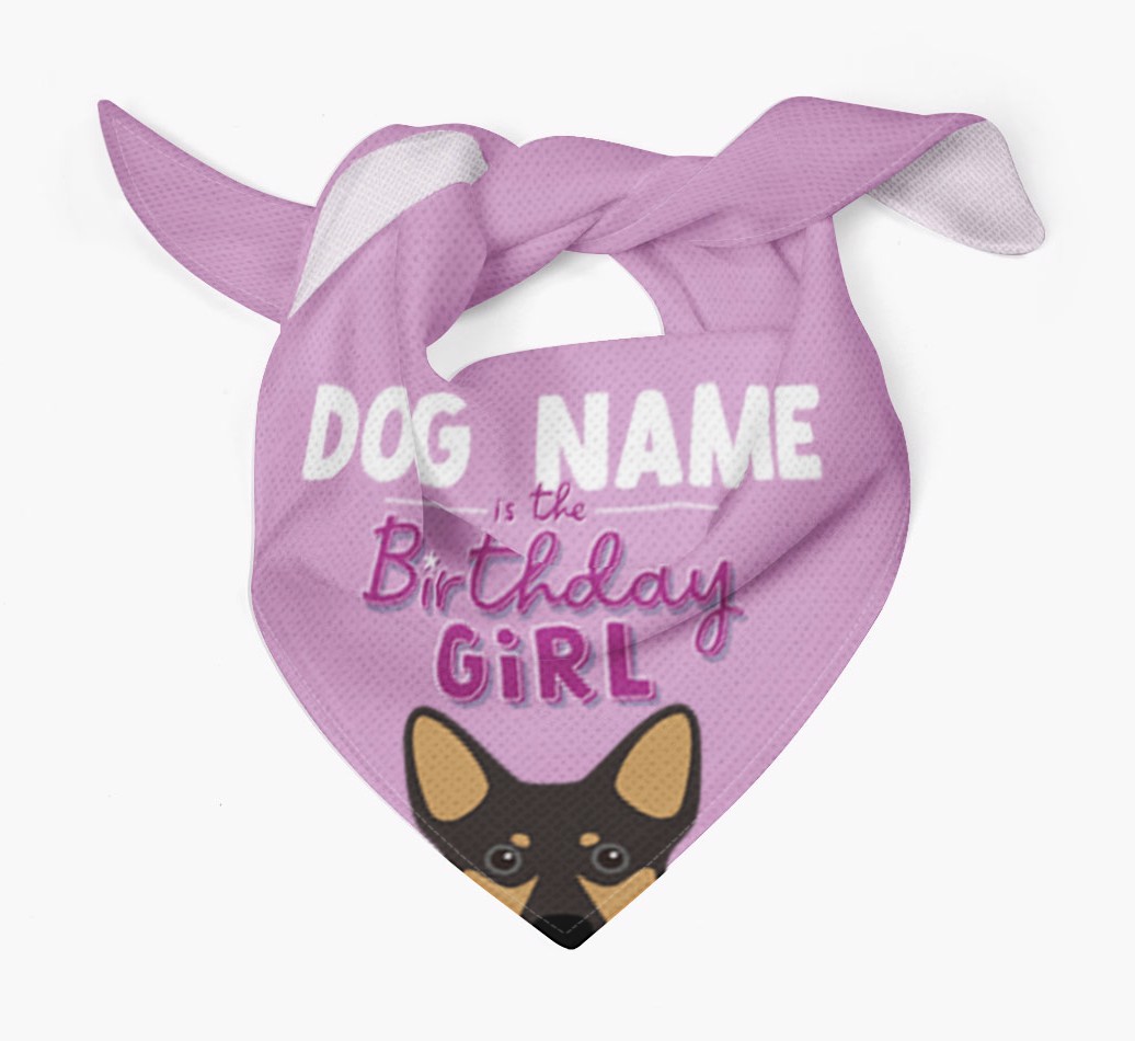 Birthday Girl: Personalised {breedFullName} Bandana