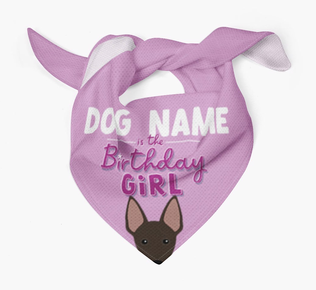 Birthday Girl: Personalised {breedFullName} Bandana