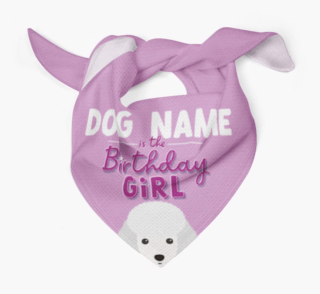 Birthday Girl: Personalised {breedFullName} Bandana