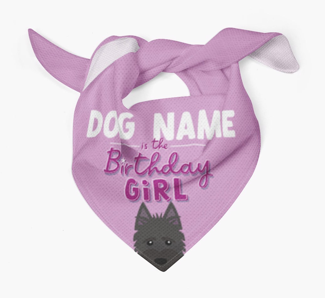 Birthday Girl: Personalised {breedFullName} Bandana