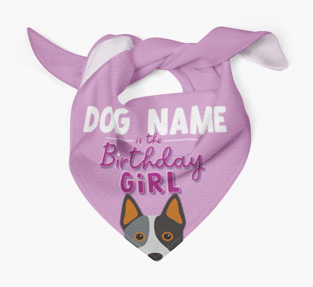 Birthday Girl: Personalized {breedFullName} Bandana