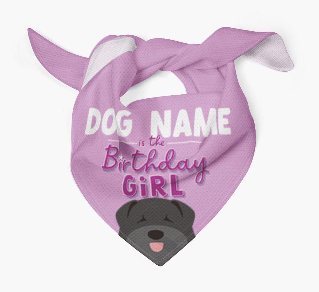 Birthday Girl: Personalized {breedFullName} Bandana