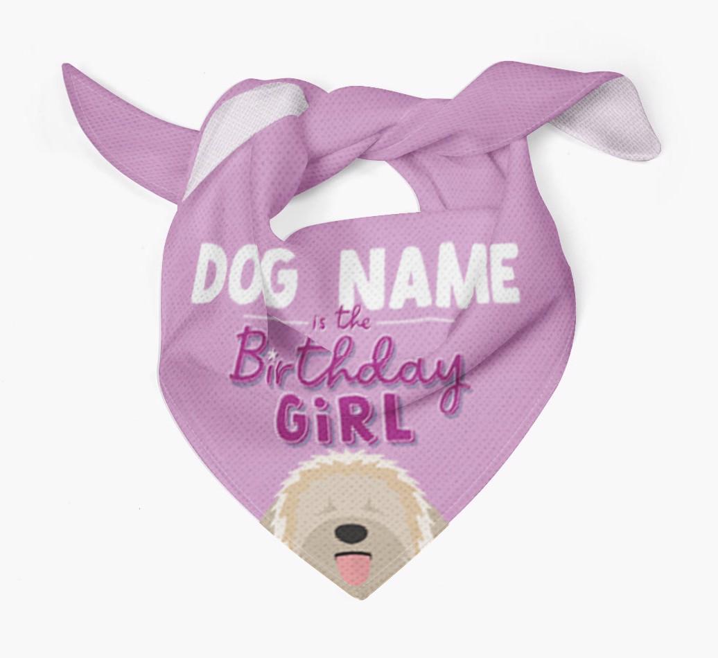 Birthday Girl: Personalized {breedFullName} Bandana