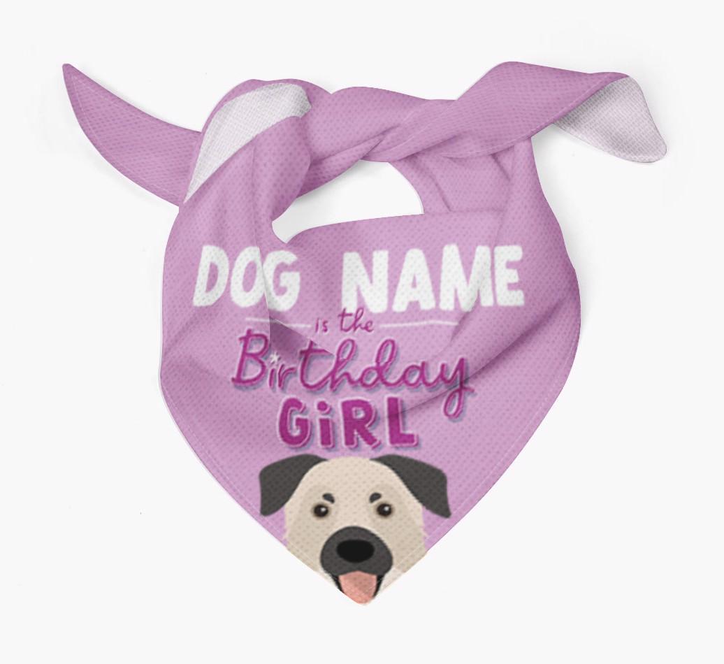 Birthday Girl: Personalized {breedFullName} Bandana