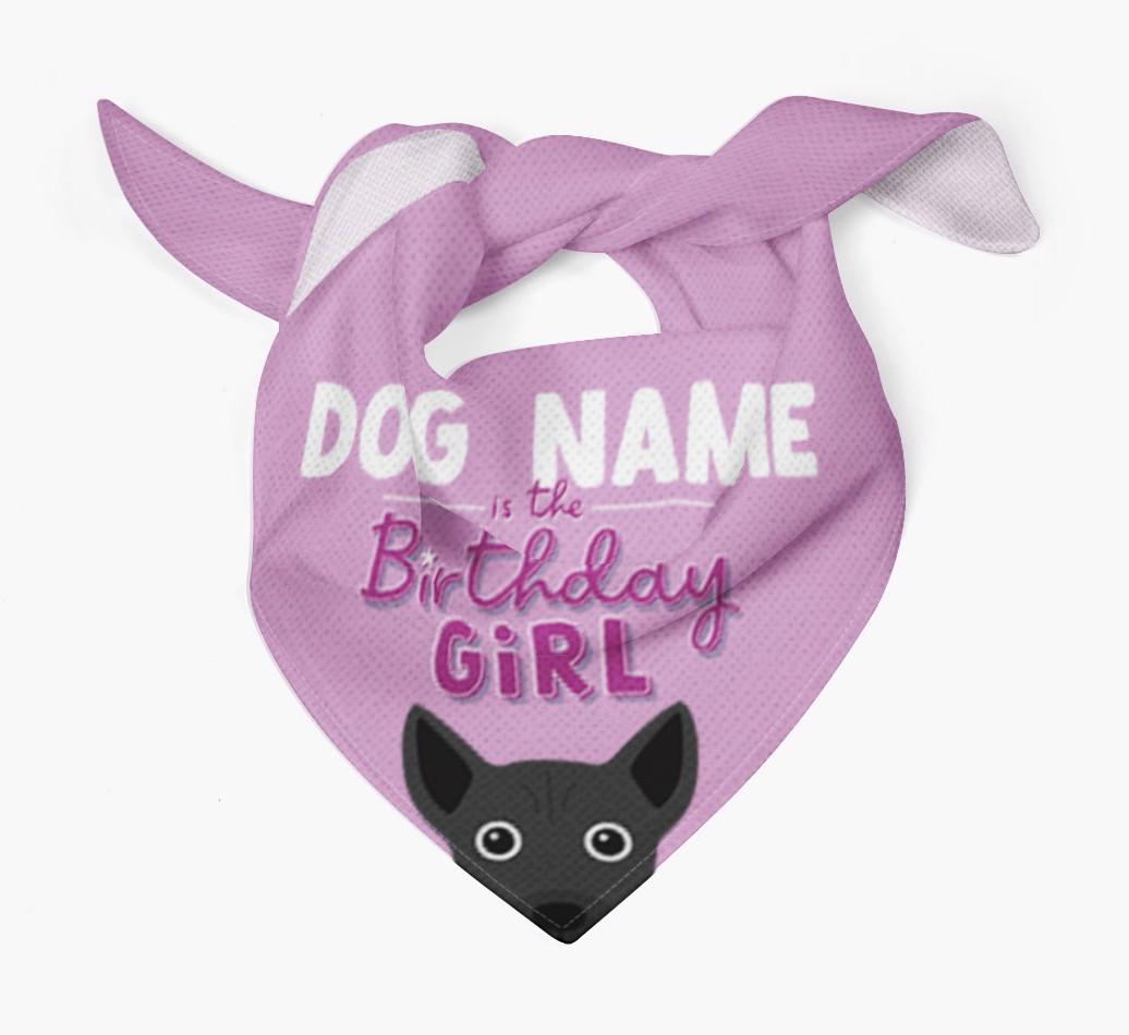 Birthday Girl: Personalized {breedFullName} Bandana