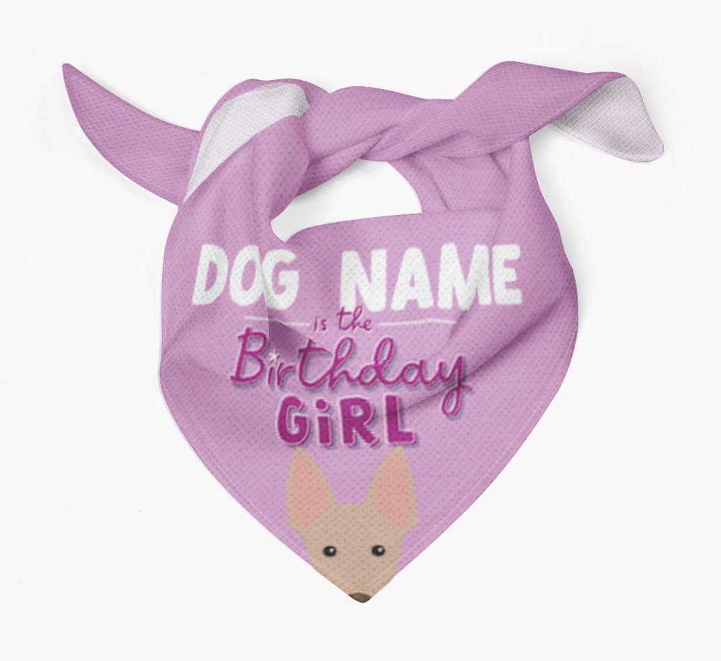 Birthday Girl: Personalized {breedFullName} Bandana