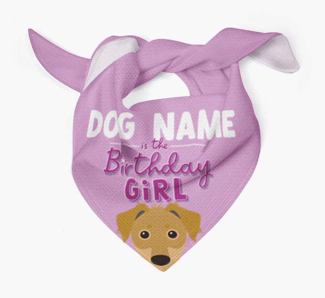 Birthday Girl: Personalized {breedFullName} Bandana