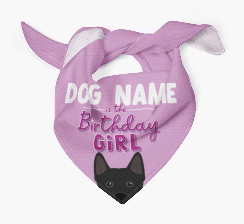 Birthday Girl: Personalized {breedFullName} Bandana