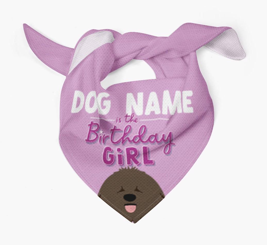 Birthday Girl: Personalized {breedFullName} Bandana