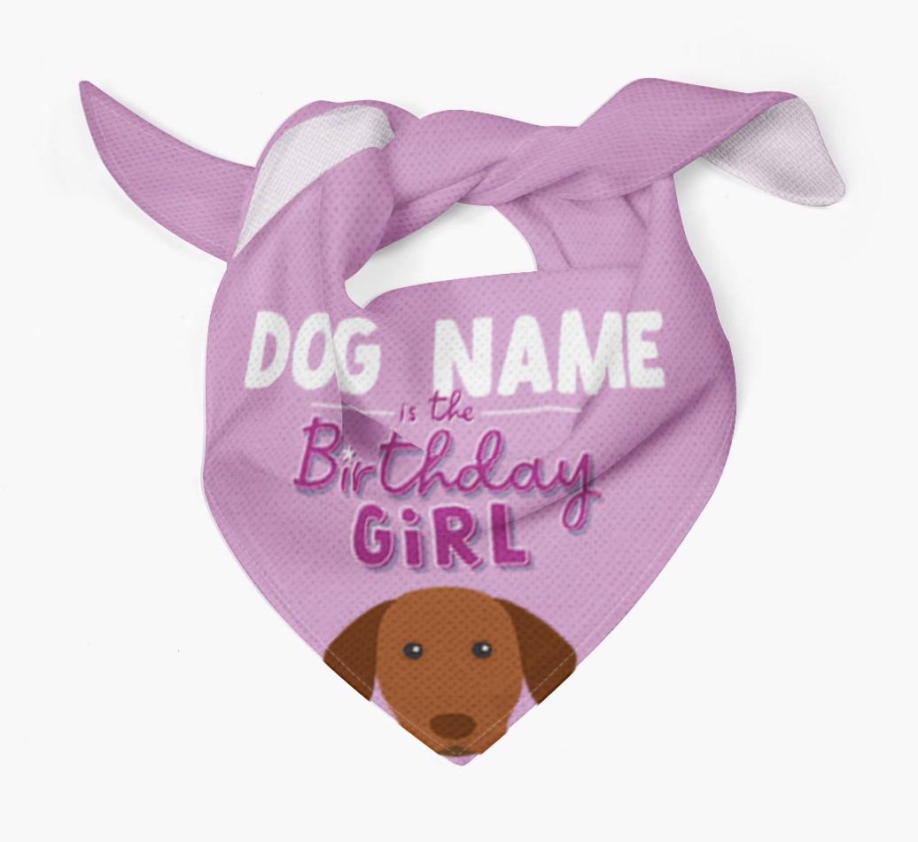 Birthday Girl: Personalised {breedFullName} Bandana