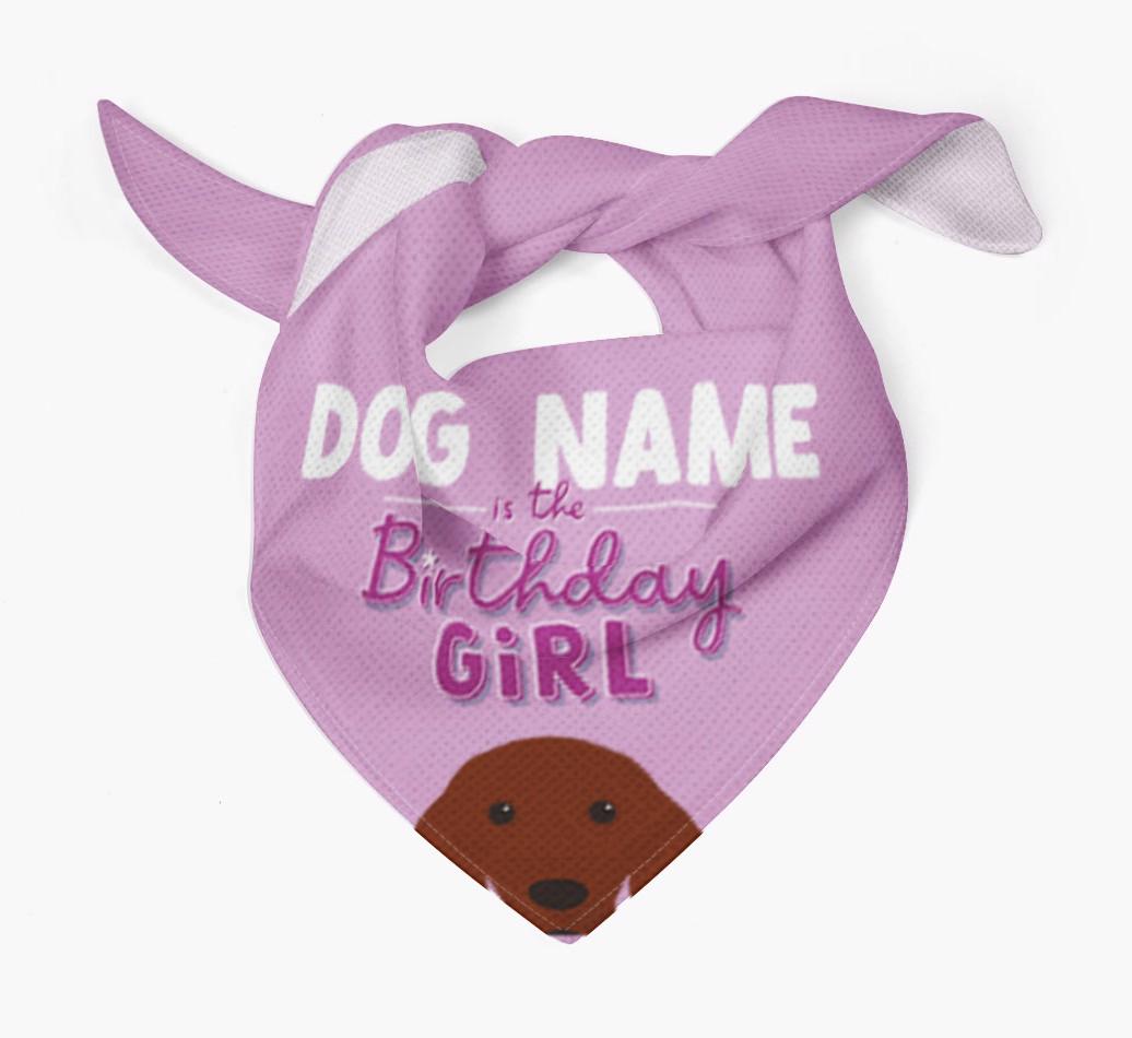 Birthday Girl: Personalized {breedFullName} Bandana